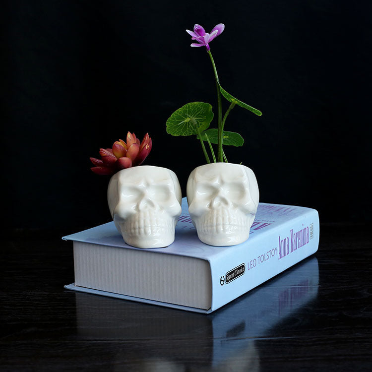 Mini Skull/Face Cute Ceramic Plant Planter