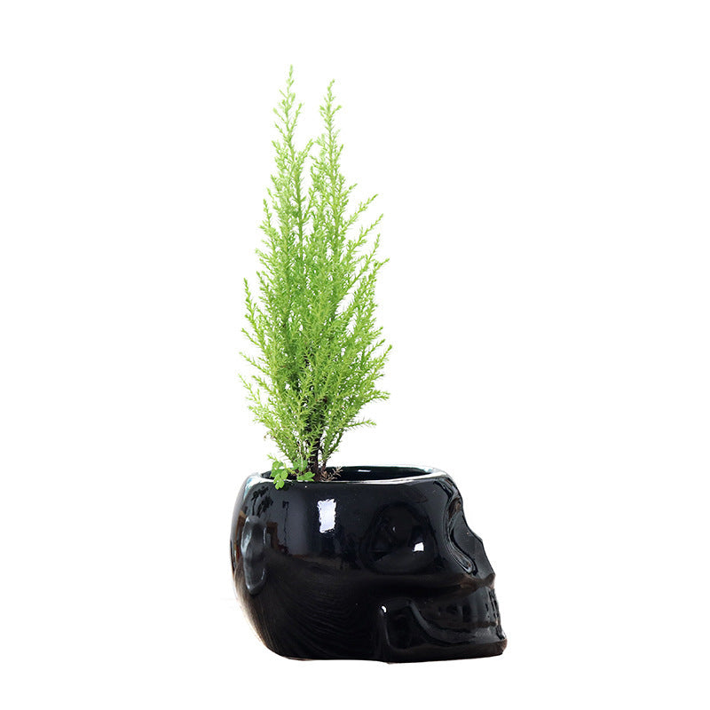 Mini Skull/Face Cute Ceramic Plant Planter