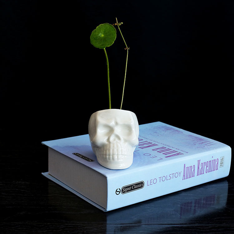 Mini Skull/Face Cute Ceramic Plant Planter